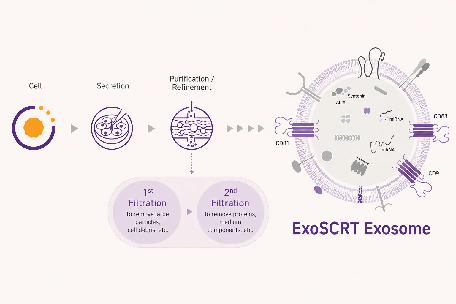 ExoSCRT純化技術
